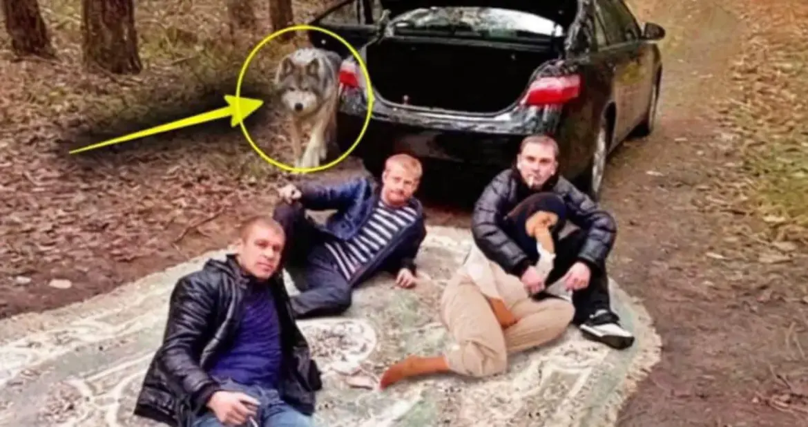 Братки вивезли вагітну жінку в ліс, задумавши щось жахливе! Її відчайдушний плач почув ВІН — і тоді почалося…